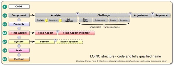 Loinc structure